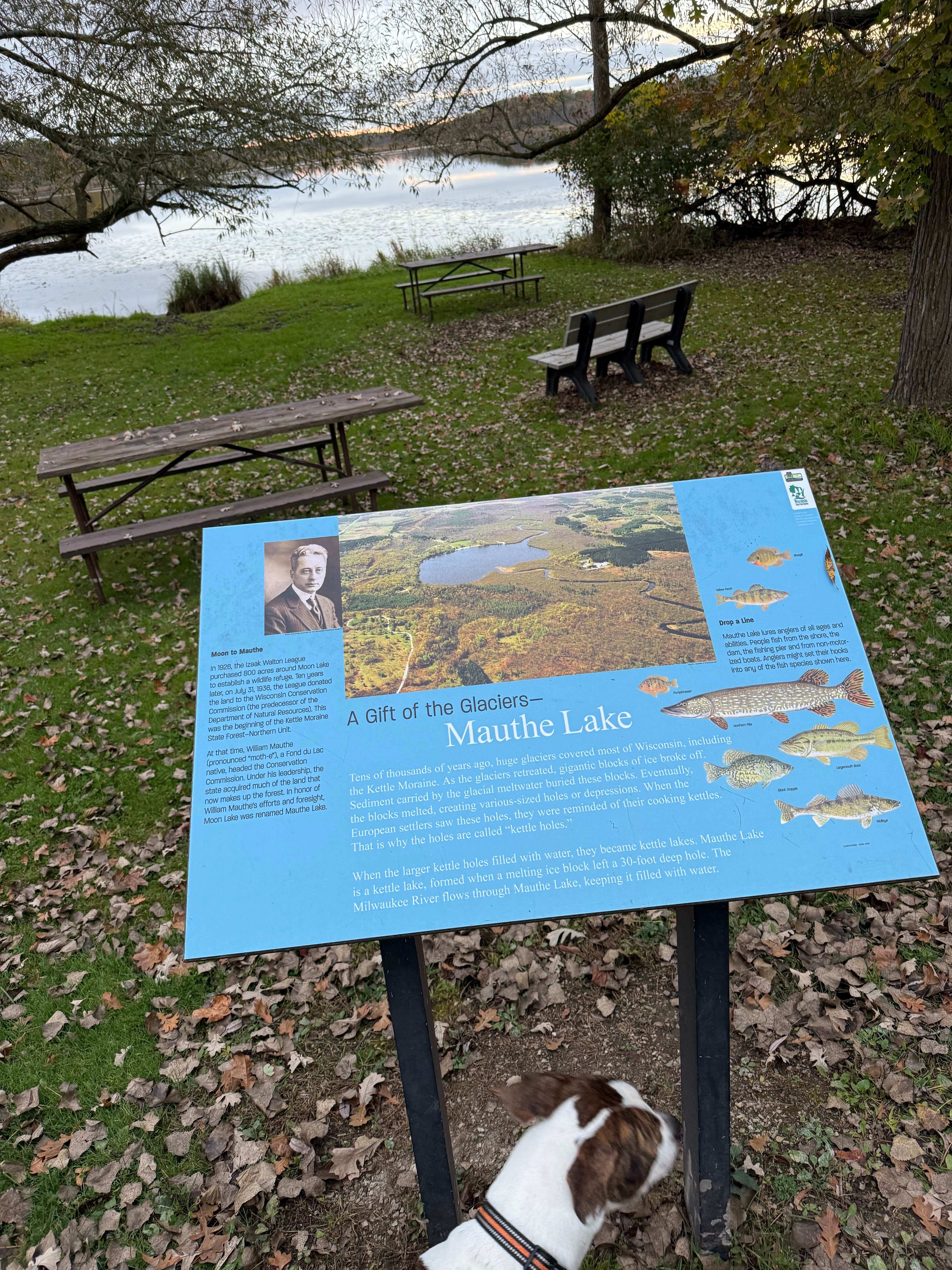Justin F.'s photo of camping with pets at Mauthe Lake Campground — Kettle Moraine State Forest - Northern Unit near Malone, WI