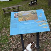 Review photo of Mauthe Lake Campground — Kettle Moraine State Forest-Northern Unit-Iansr by Justin F., October 31, 2025