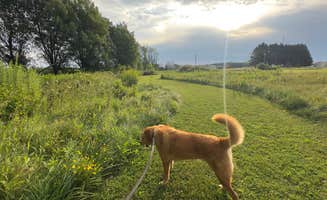 Susan M.'s photo of camping with pets at Kewaunee RV & Campground near Appleton, WI