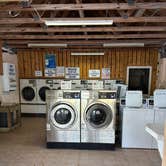 Review photo of Key Largo Kampground & Marina by Kelly B., April 3, 2026