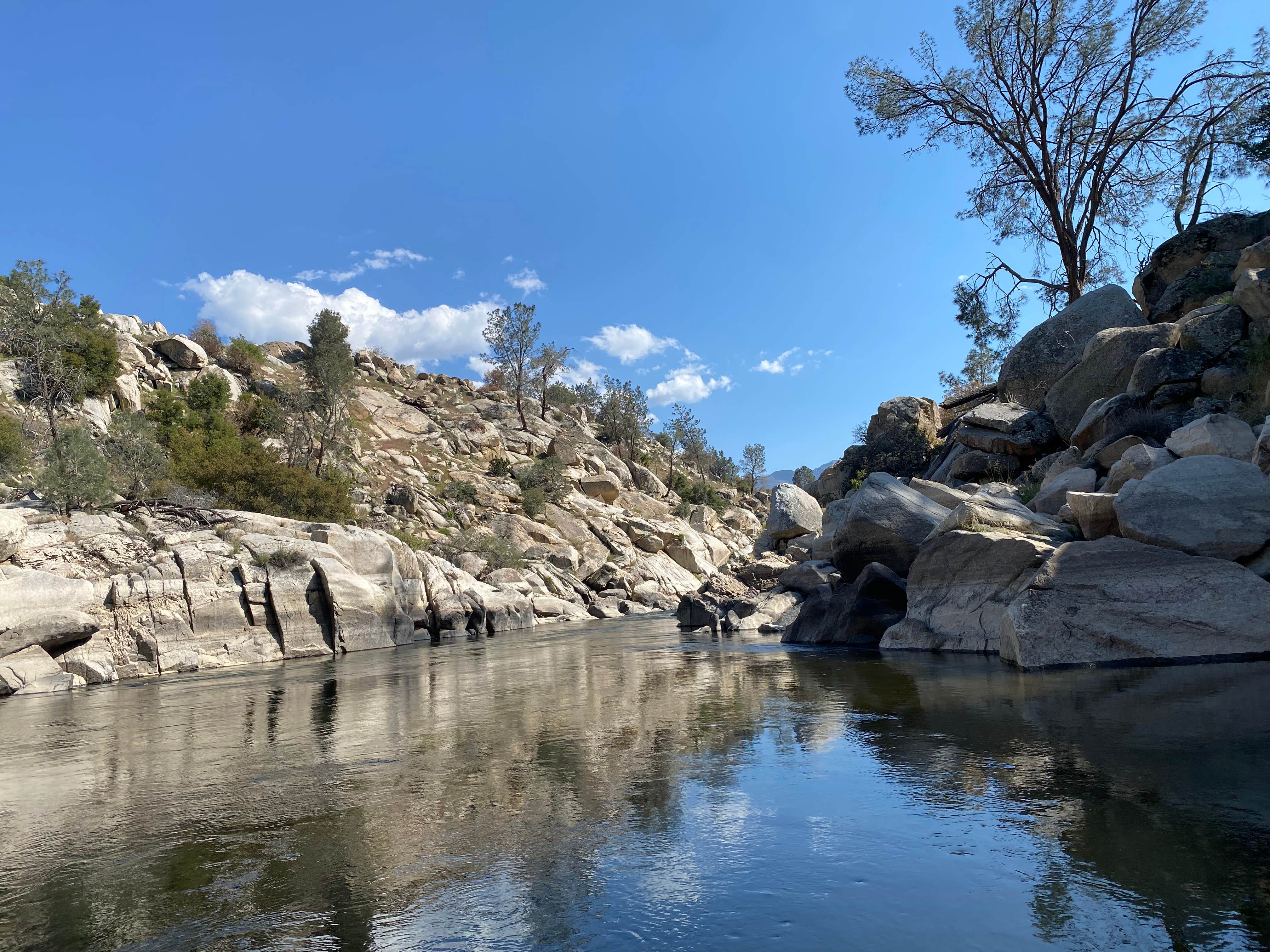 Amina B.'s photo of a dispersed camping area at Keyesville Recreation Area Dispersed near Edison, CA