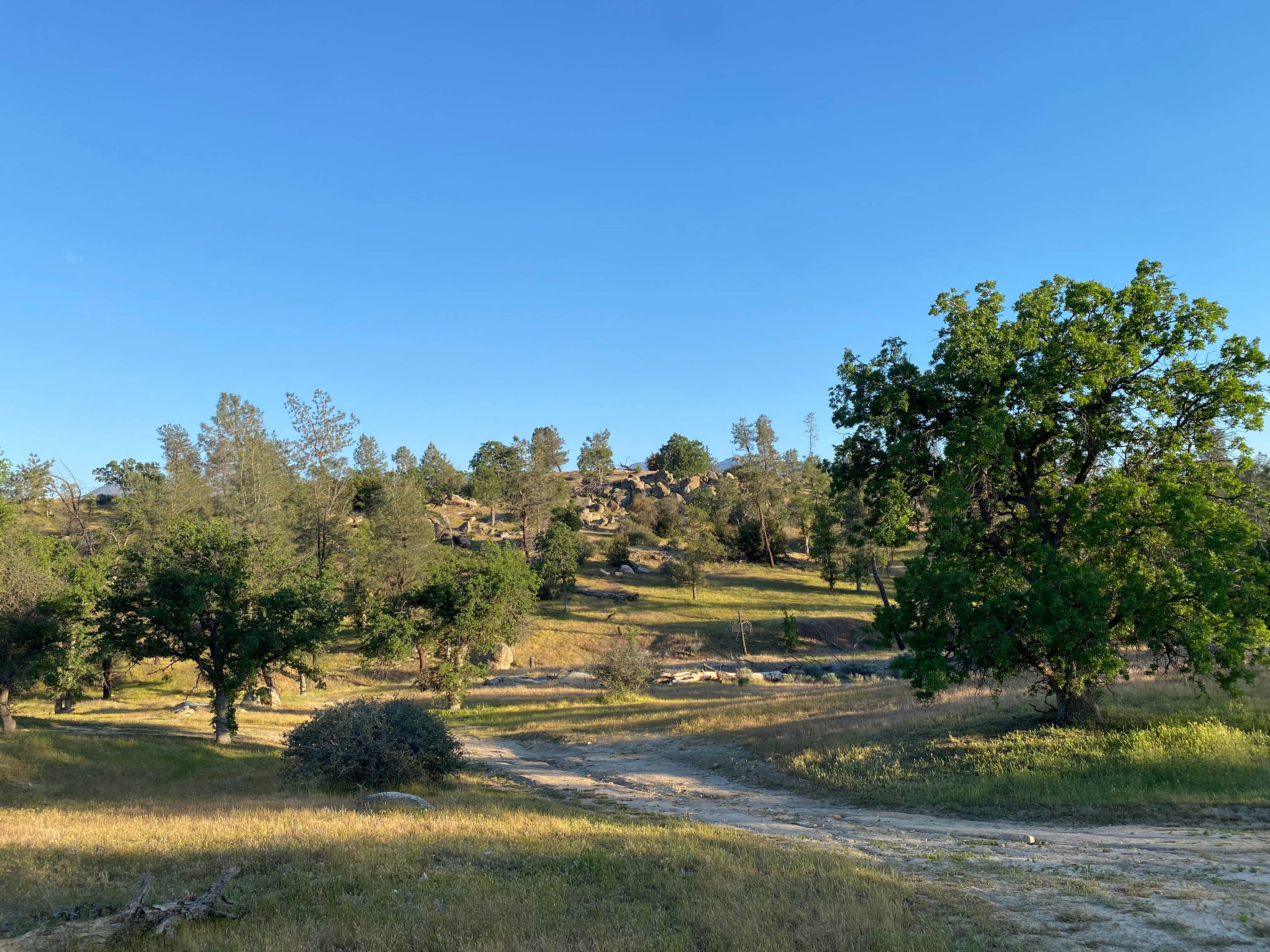 Camper-submitted photo at Keyesville Recreation Area Dispersed near Onyx, CA