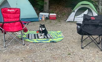 Mal L.'s photo of camping with pets at Keyser Pond Campground near Bennington, NH