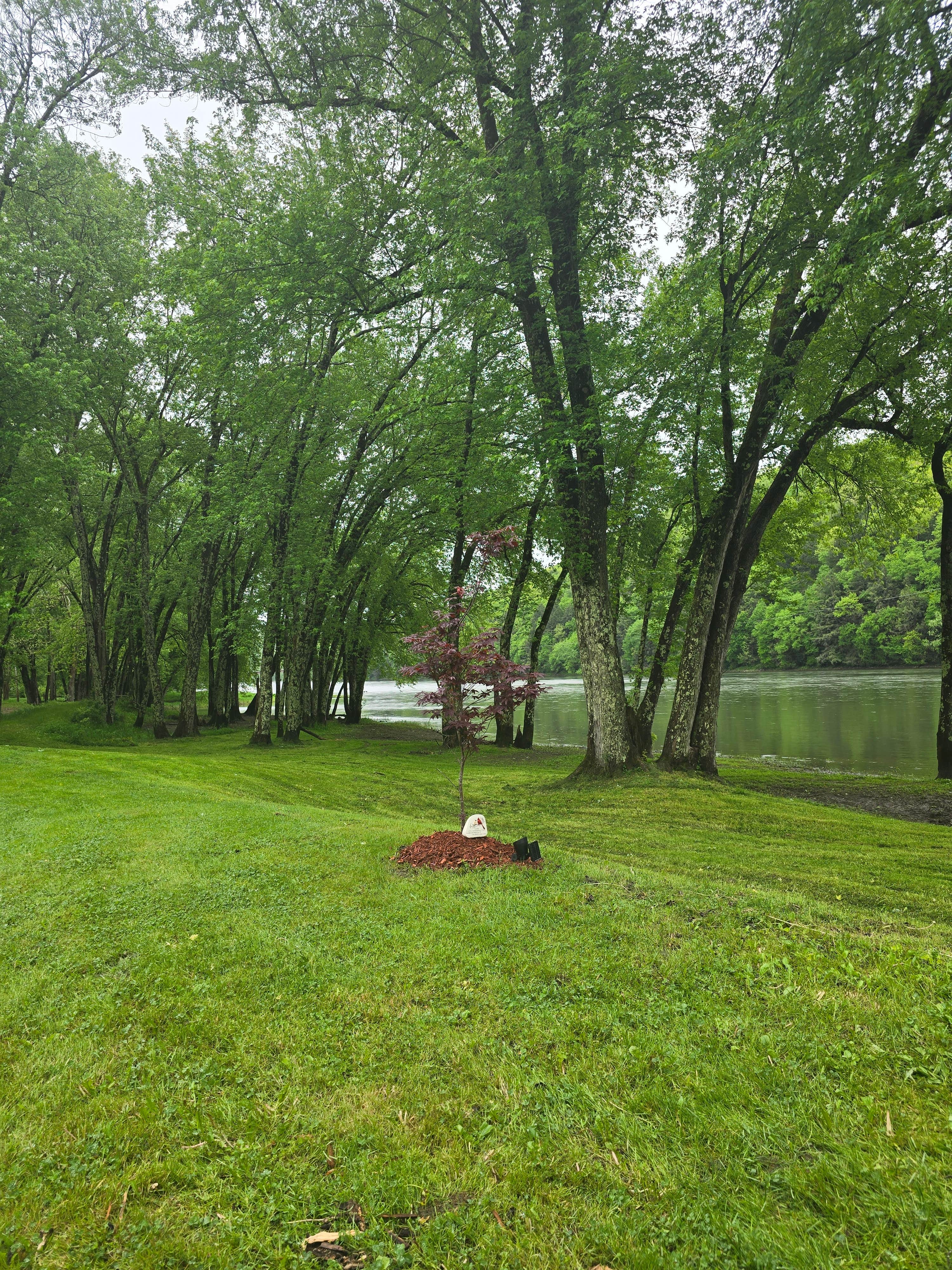 Camping near Wolfs Camping Resort: Kibbes Island Park Campground, Grapevine Lake, Pennsylvania