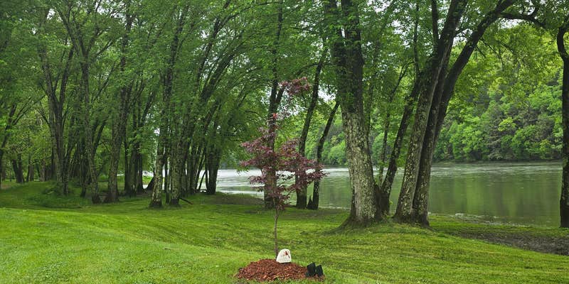 Camper submitted image from Kibbes Island Park Campground