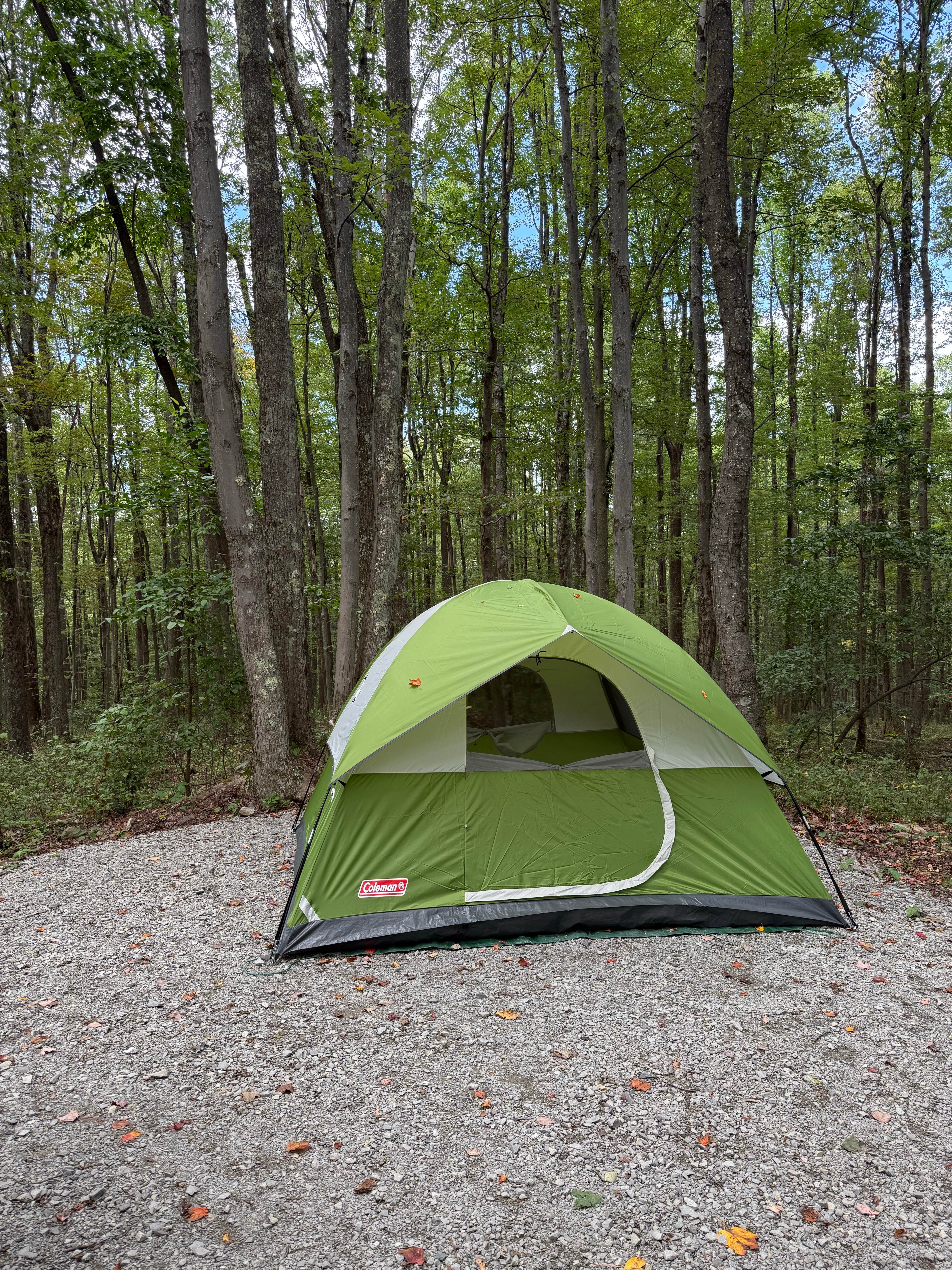 Alia's photo at Kick Back n Camp near Fairmont, WV