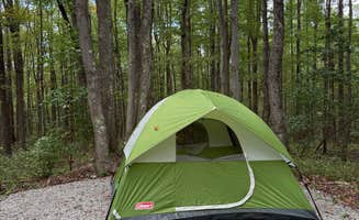 Alia's photo at Kick Back n Camp near French Creek, WV