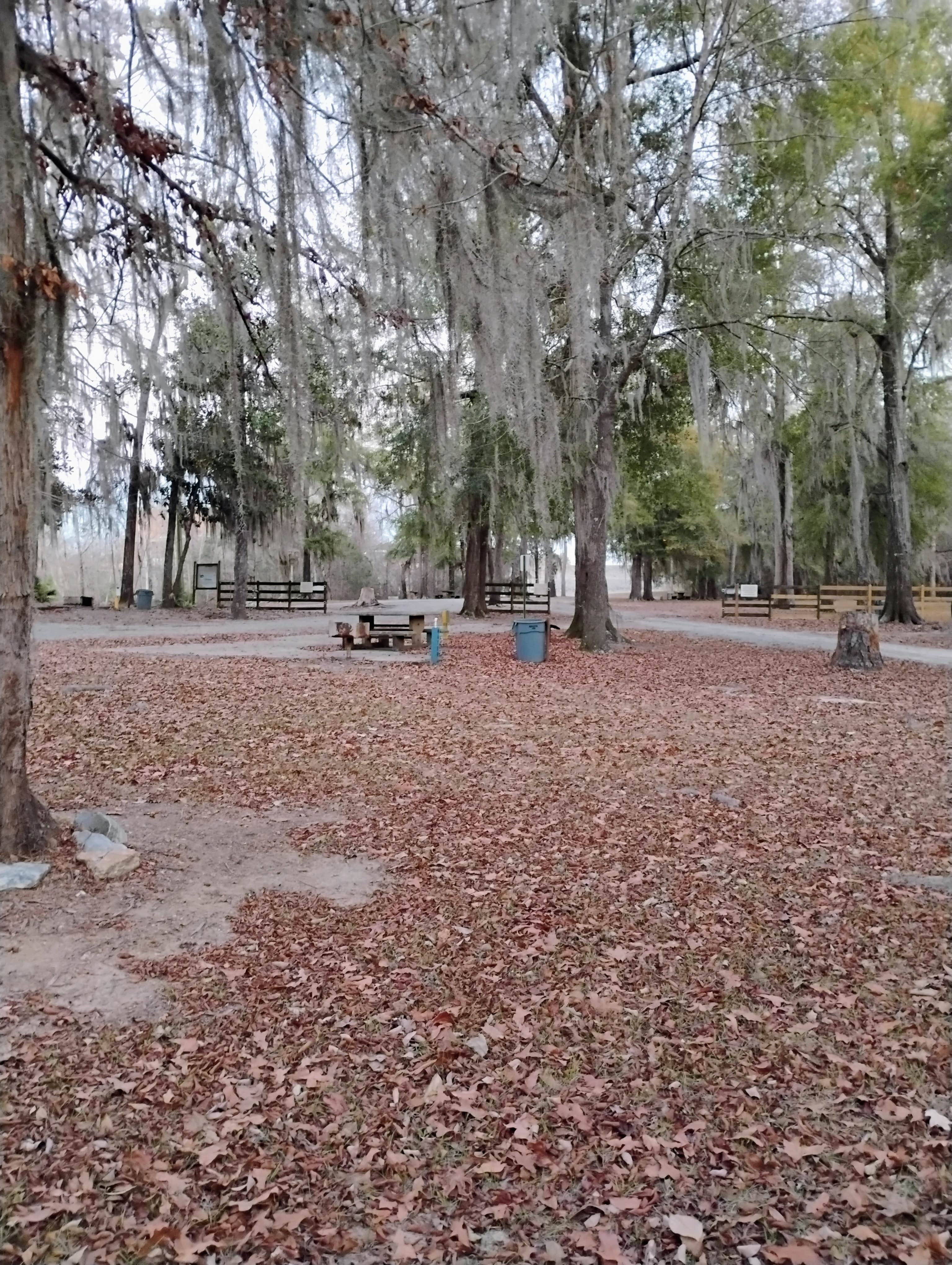 Camper-submitted photo at Killebrew Park near Americus, GA