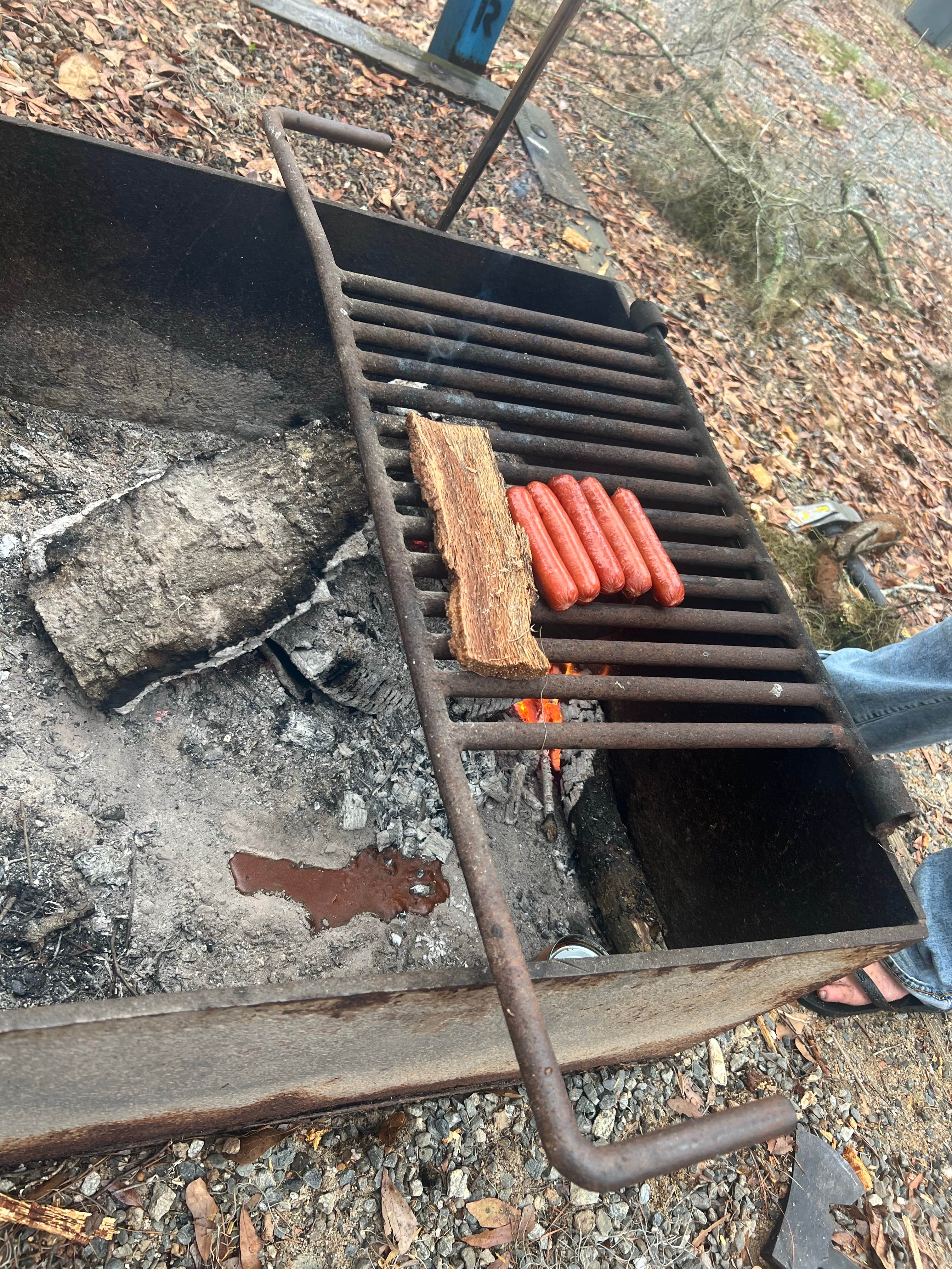 hilary G.'s photo of camping with pets at Killebrew Park near Fitzgerald, GA