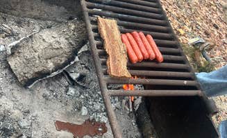 hilary G.'s photo of camping with pets at Killebrew Park near Albany, GA