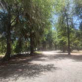 Review photo of Killebrew Park by Andy M., May 3, 2026