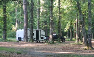 Andy M.'s photo at Killebrew Park near Moultrie, GA