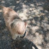 Review photo of Killebrew Park by Andy M., May 3, 2026