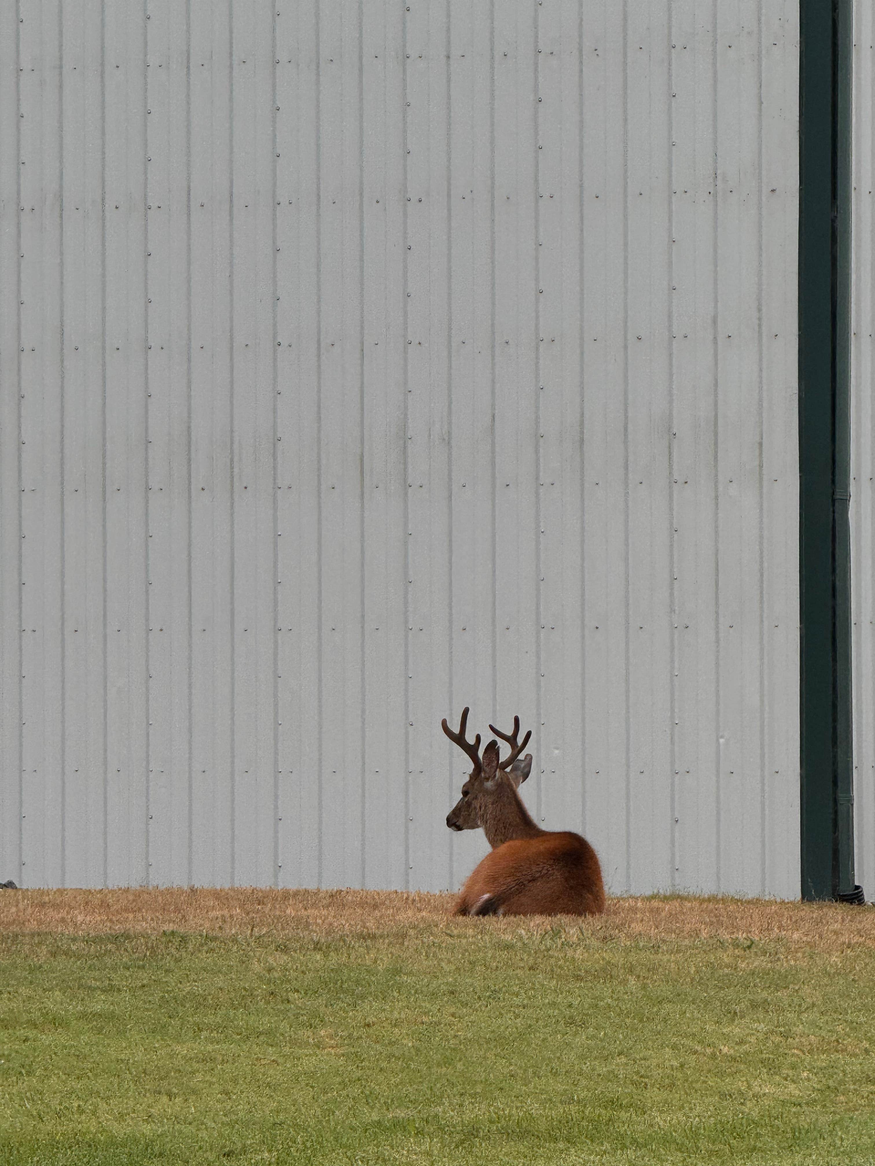 Camper-submitted photo at Kimball Creek Bend RV Resort near Ophir, OR