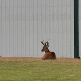 Review photo of Kimball Creek Bend RV Resort by Drew H., July 19, 2025