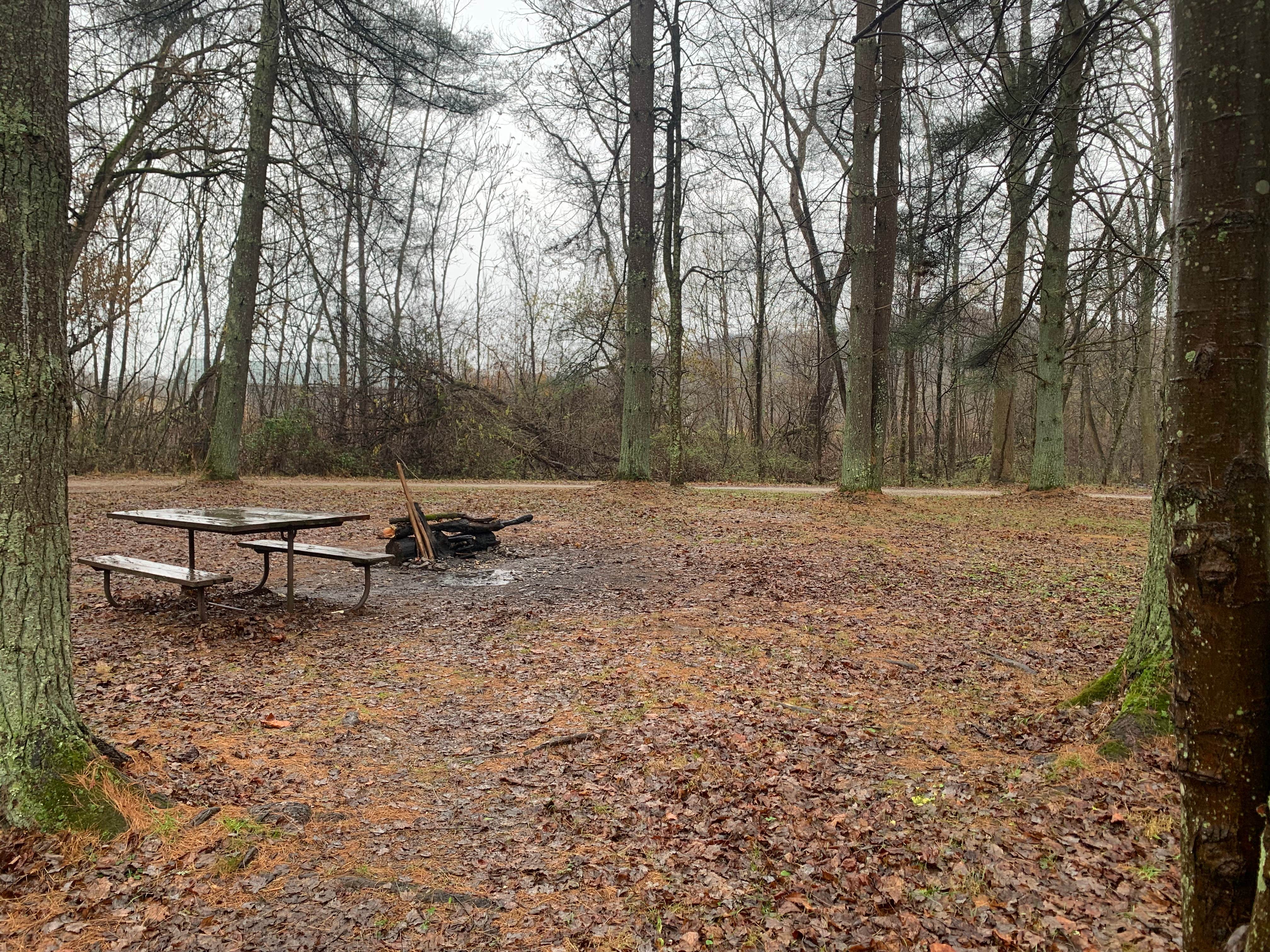 Camper-submitted photo at Kinderhook Horse Trail near Clifton, OH