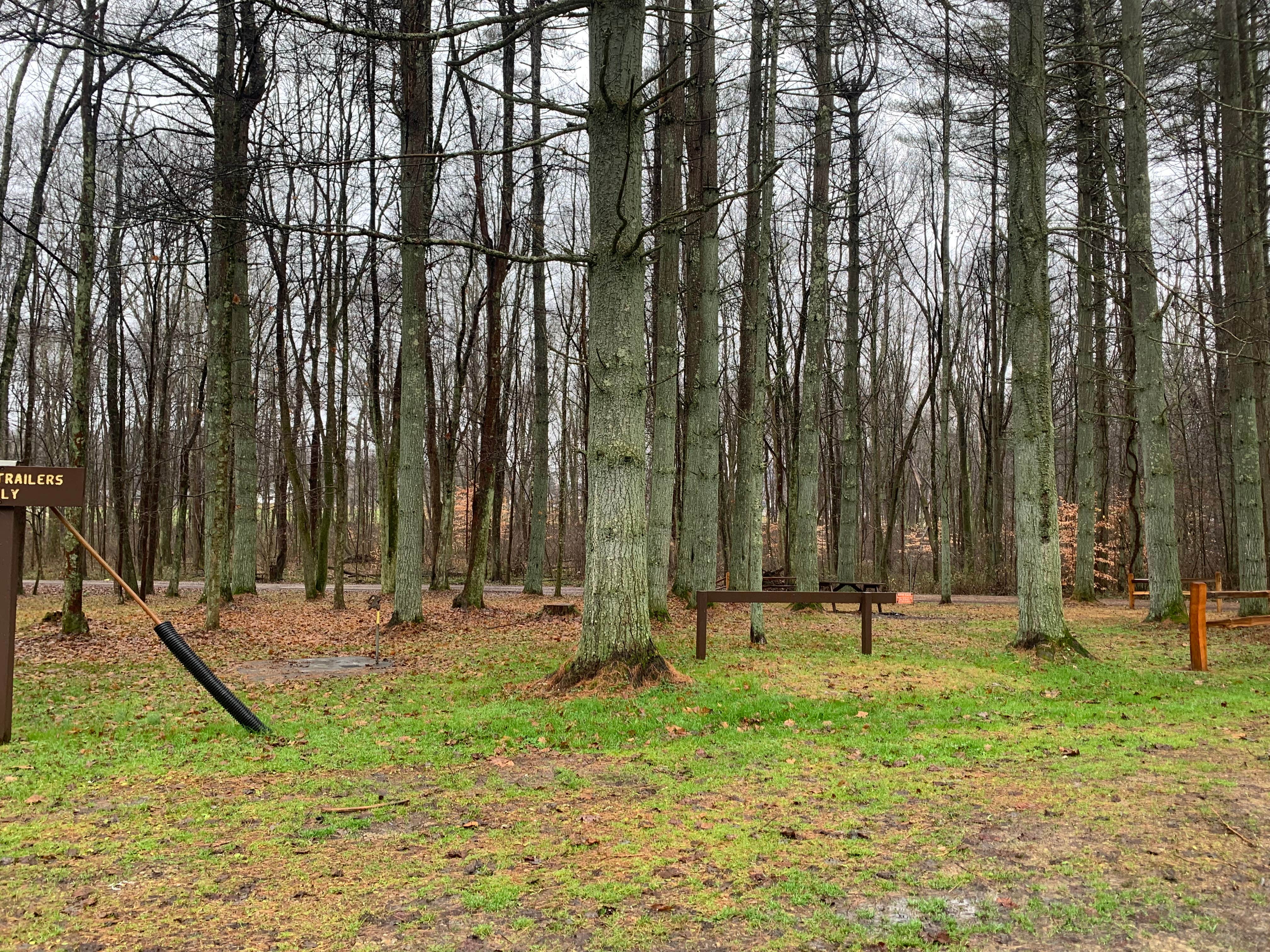 Camper-submitted photo at Kinderhook Horse Trail near Clifton, OH