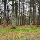 Review photo of Kinderhook Horse Trail by Tyler O., November 25, 2025