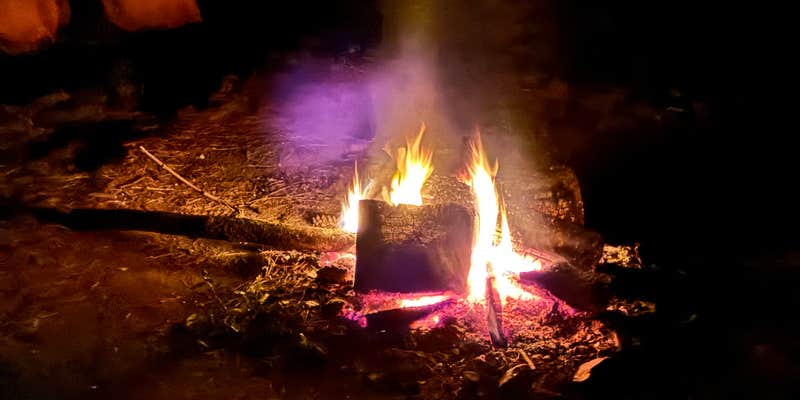 Camper submitted image from Kinderhook Horse Trail