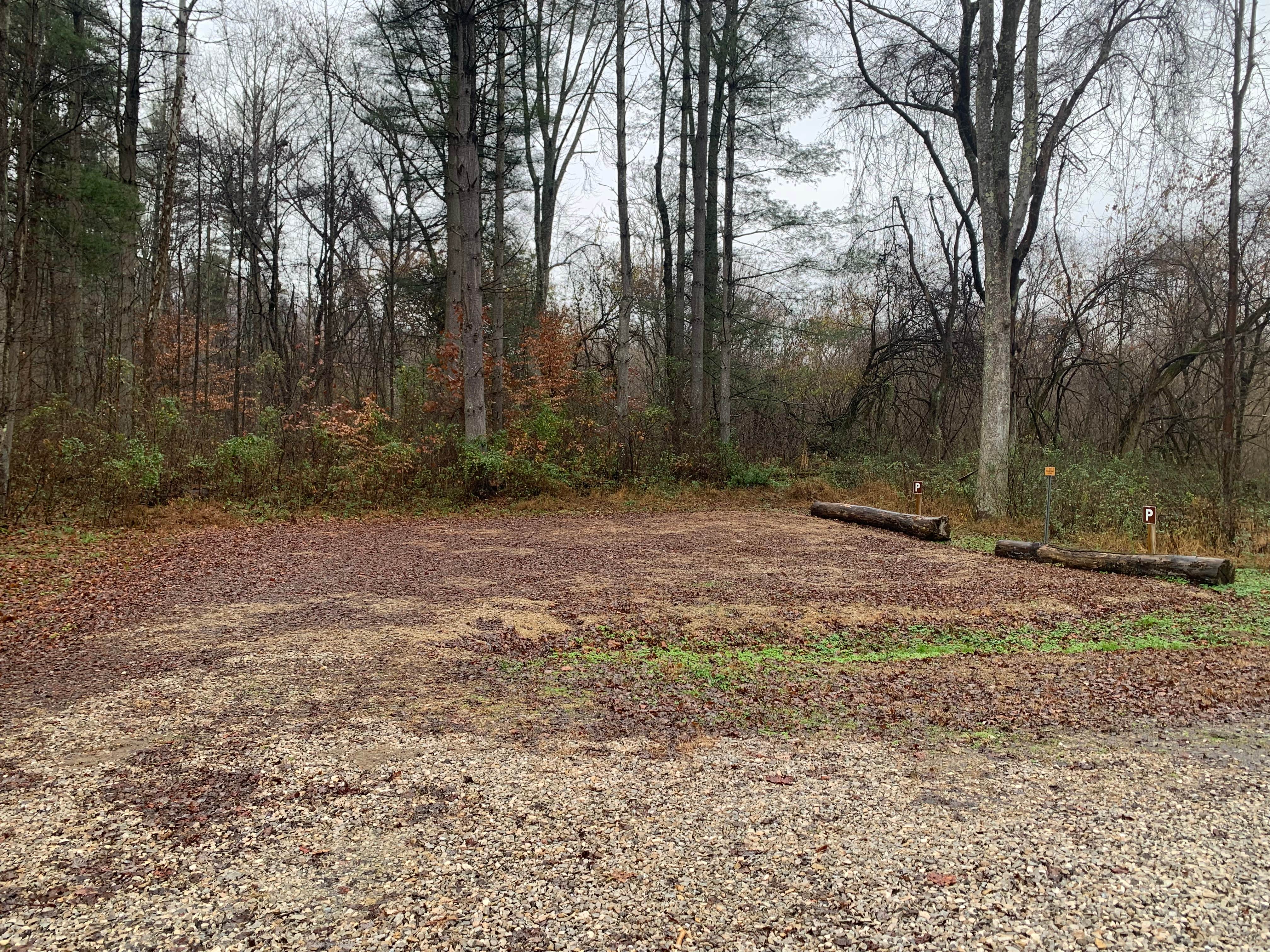 Camper submitted image from Kinderhook Horse Trail - 3