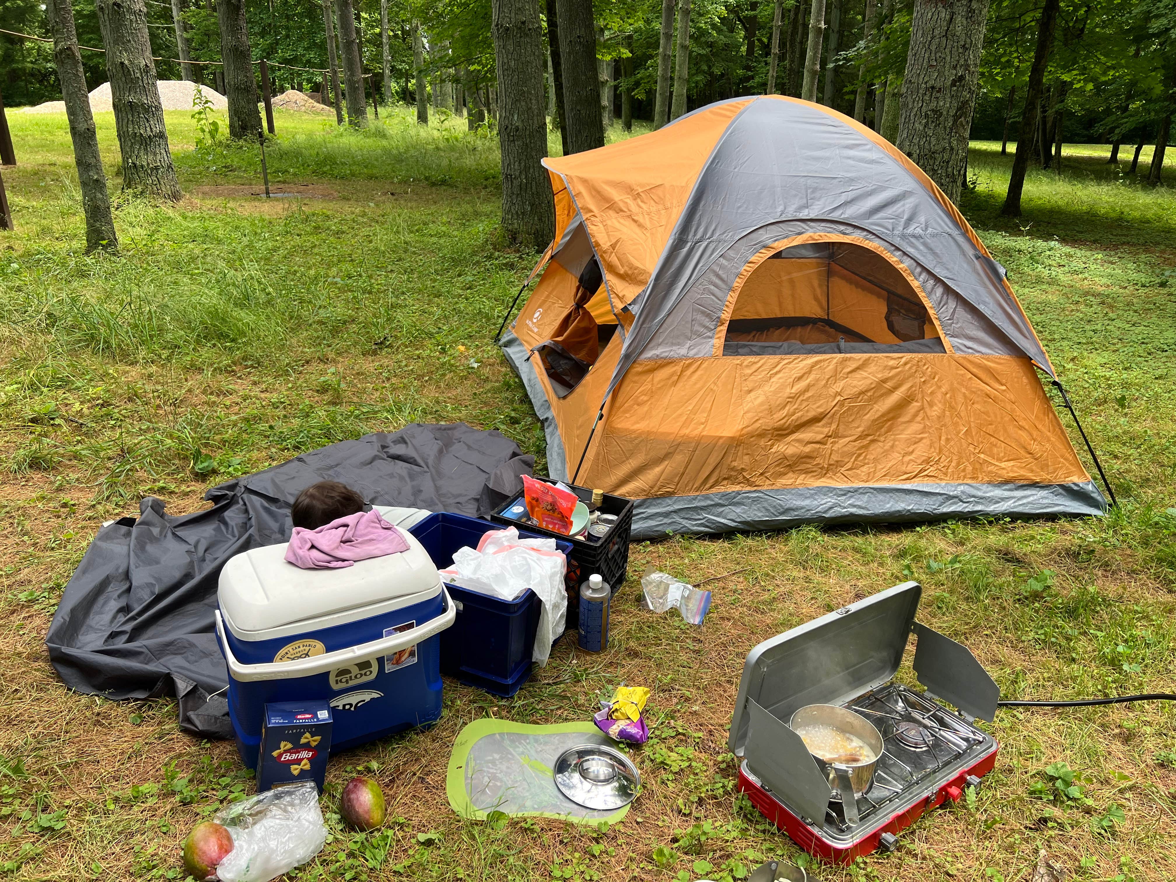 Camper submitted image from Kinderhook Horse Trail - 3