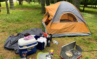 Annika E.'s photo at Kinderhook Horse Trail near Newport, OH