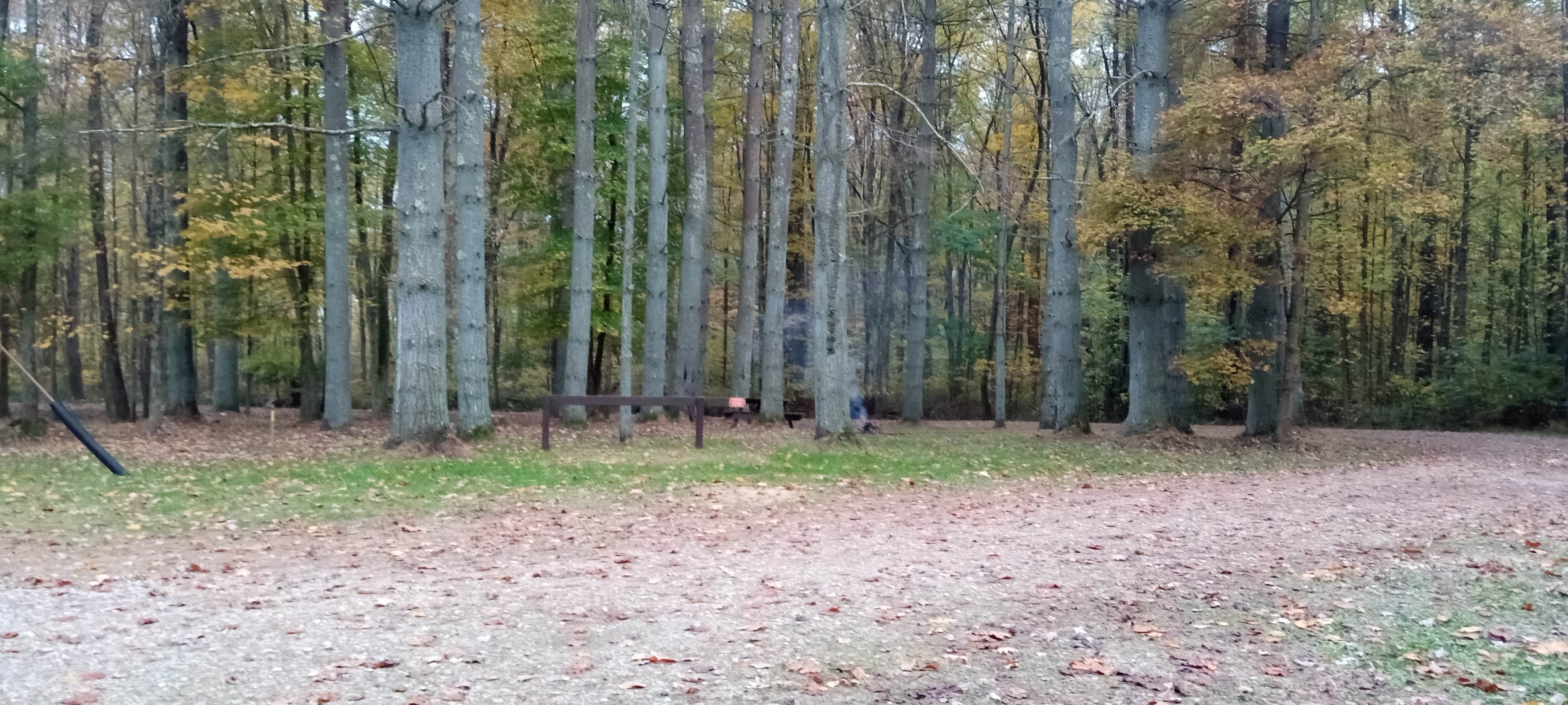 Camper-submitted photo at Kinderhook Trailhead near Clifton, OH