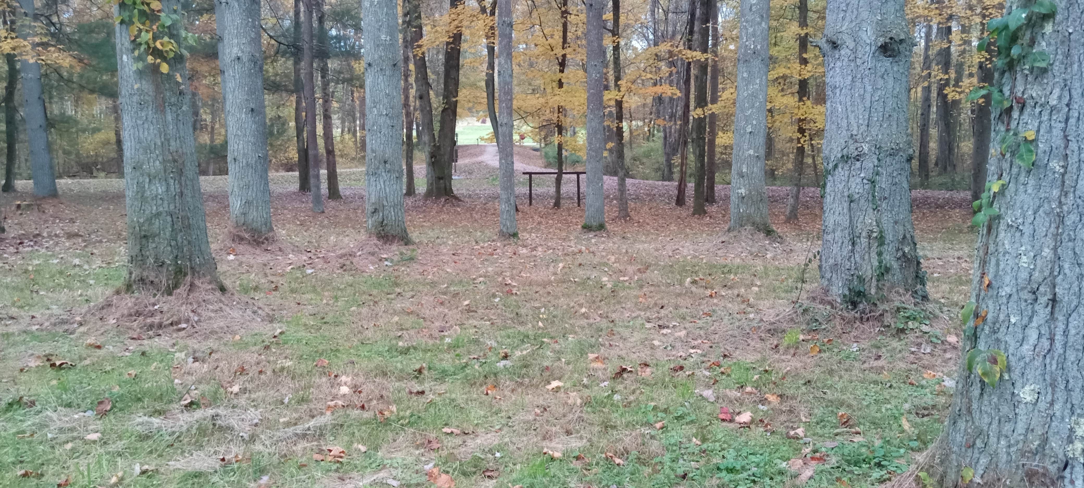 Camper-submitted photo at Kinderhook Trailhead near Clifton, OH