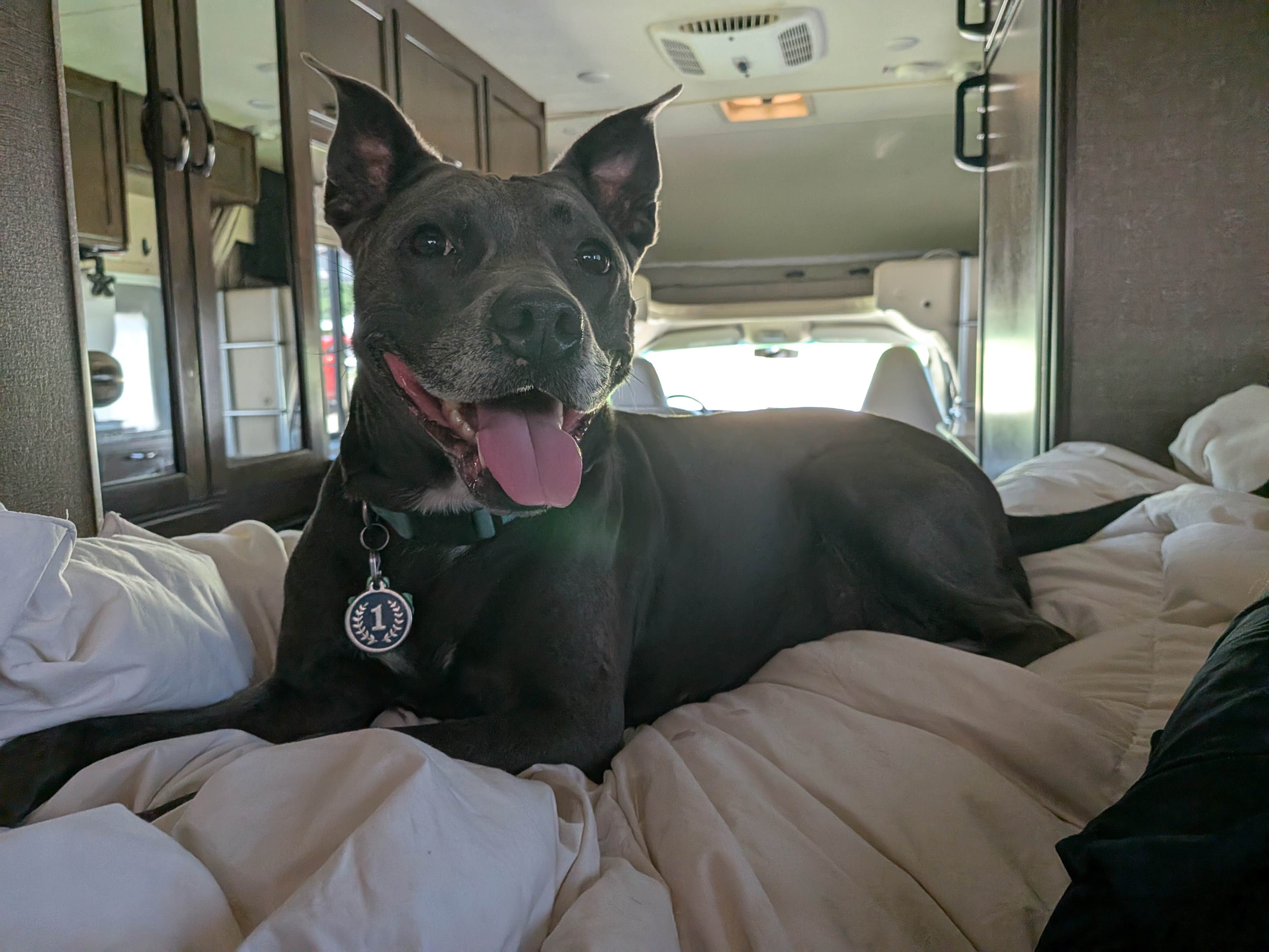 King RV Park