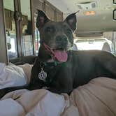 Review photo of King RV Park by David B., August 2, 2026