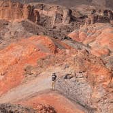 Review photo of Kingman Wash — Lake Mead National Recreation Area by Michael R., April 4, 2025