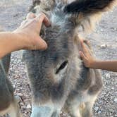 Review photo of Kingman Wash — Lake Mead National Recreation Area by Imerie T., October 24, 2024