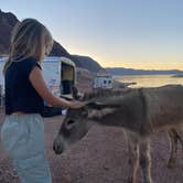 Review photo of Kingman Wash — Lake Mead National Recreation Area by Imerie T., October 24, 2024