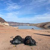 Review photo of Kingman Wash — Lake Mead National Recreation Area by Nat P., May 30, 2025