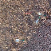 Review photo of Kingman Wash — Lake Mead National Recreation Area by Imerie T., April 16, 2026