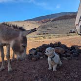 Review photo of Kingman Wash — Lake Mead National Recreation Area by Peaches E., May 12, 2025