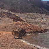 Review photo of Kingman Wash — Lake Mead National Recreation Area by Stephen G., March 18, 2025