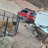 Review photo of Kingman Wash — Lake Mead National Recreation Area by Imerie T., October 24, 2024