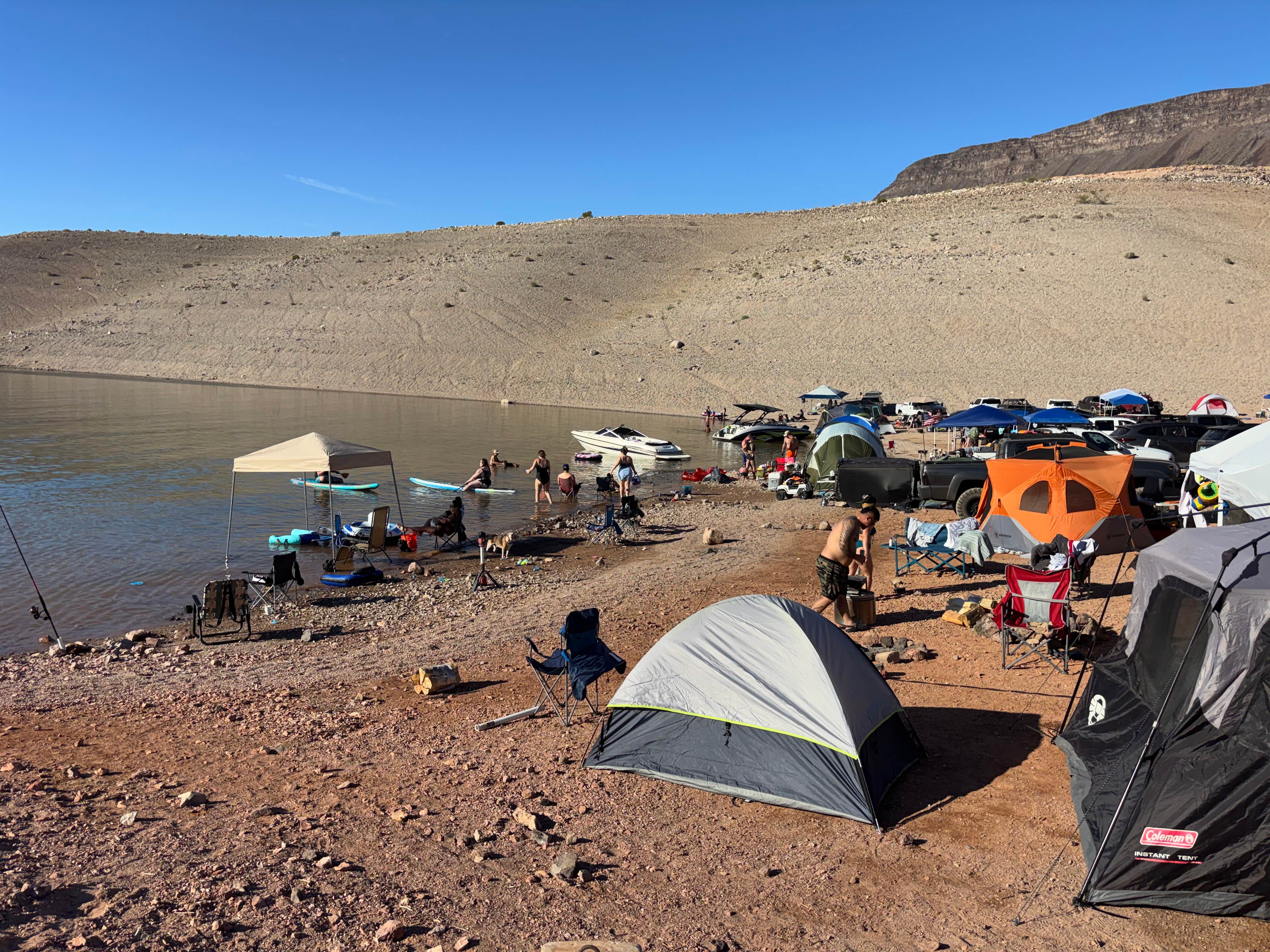 Michael C.'s photo of camping with pets at Kingman Wash — Lake Mead National Recreation Area in Arizona