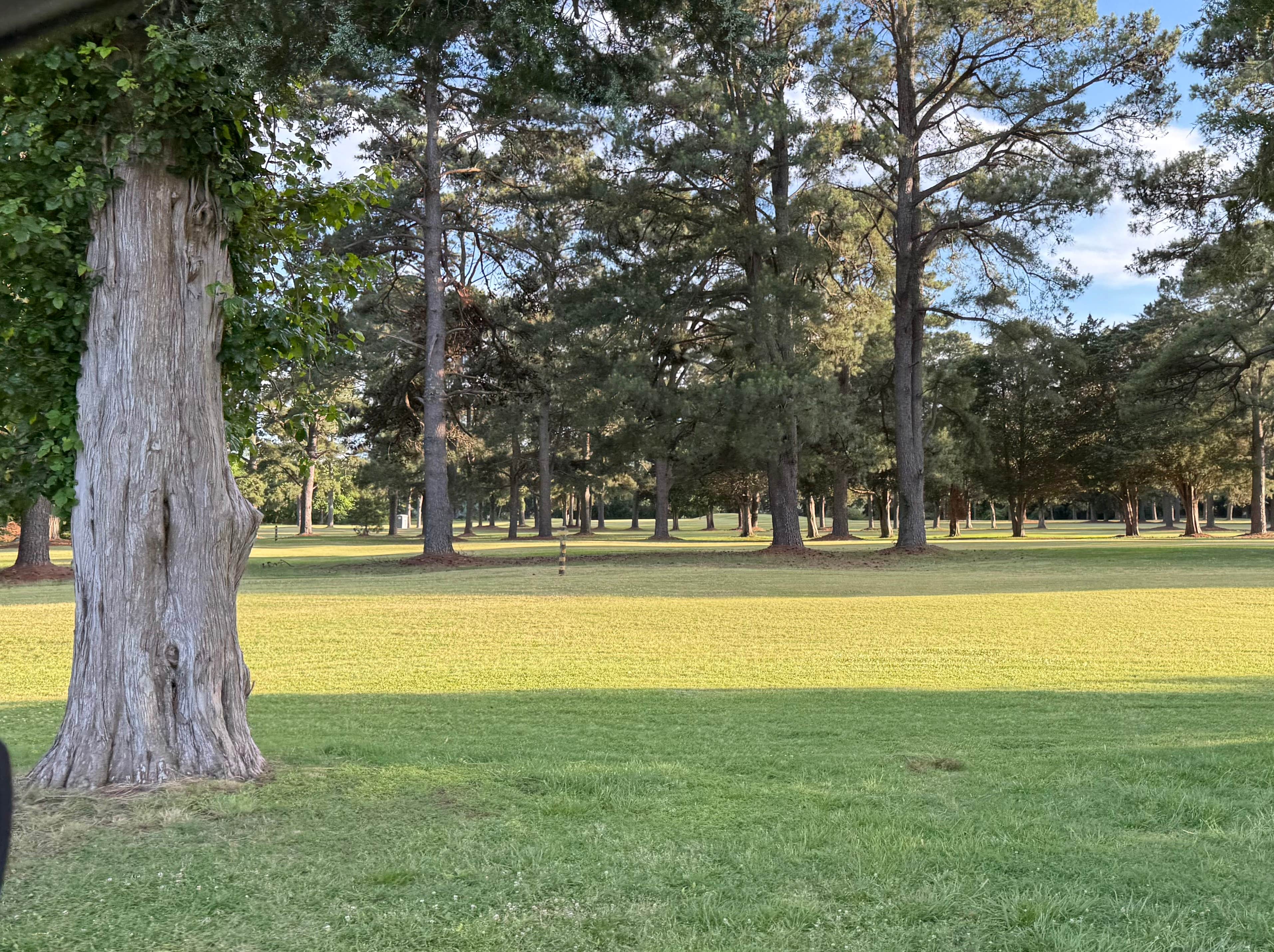 Camper-submitted photo at Kings Creek near Lanexa, VA