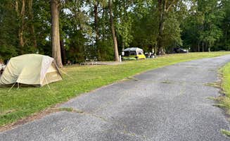 Janet R.'s photo at Kings Creek near New Point, VA