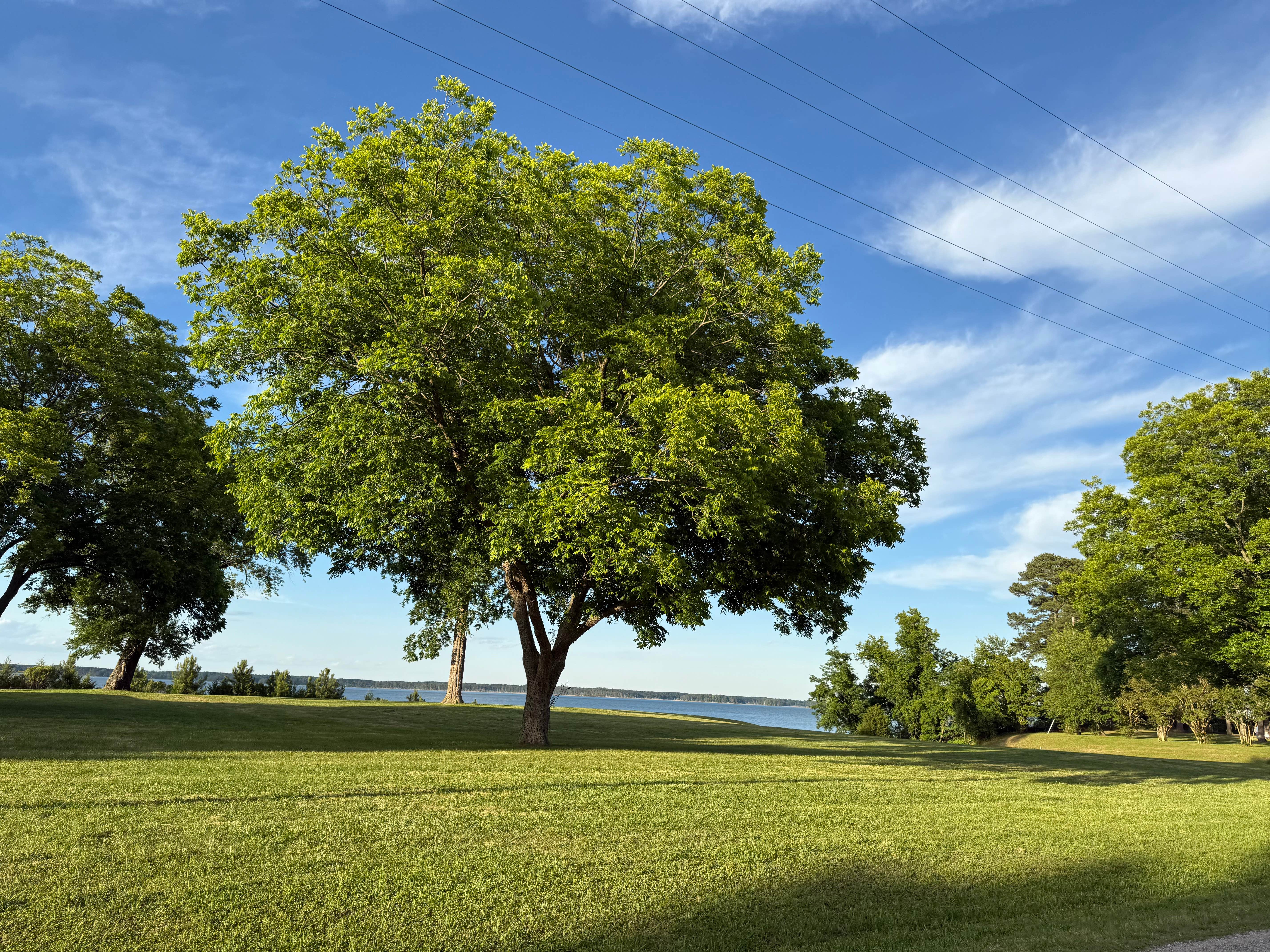 Camper-submitted photo at Kings Creek near Lanexa, VA