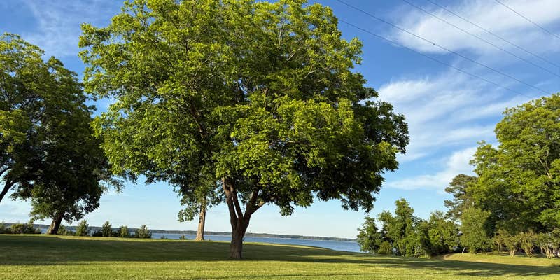 Camper submitted image from Kings Creek