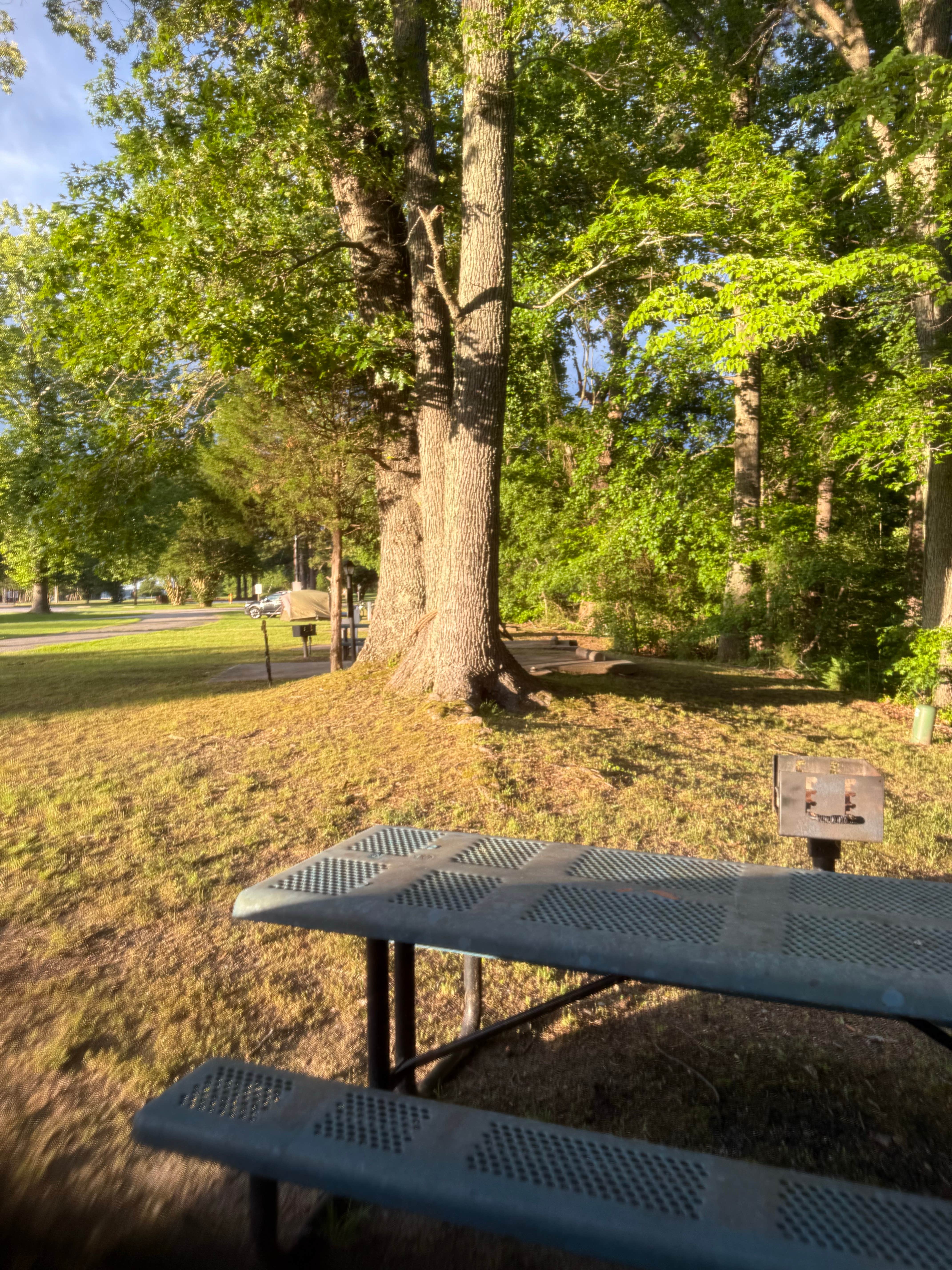 Camper-submitted photo at Kings Creek near Lanexa, VA