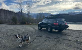 Erik I.'s photo of camping with pets at Kings River near Palmer, AK