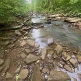 Review photo of Kings River Falls Campground by Lance R., May 19, 2026