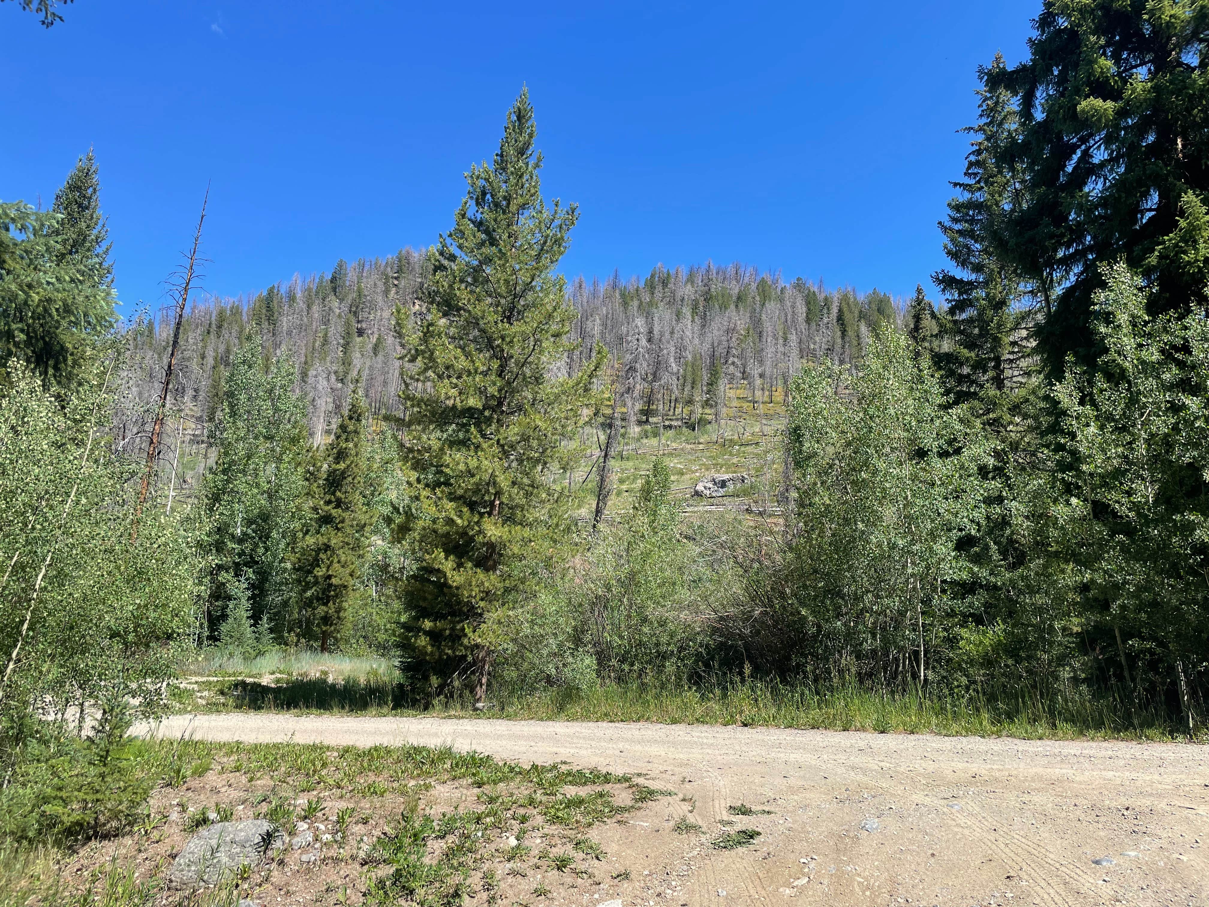 Kinney Creek