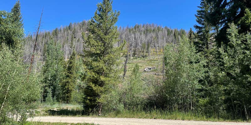 Camper submitted image from Kinney Creek
