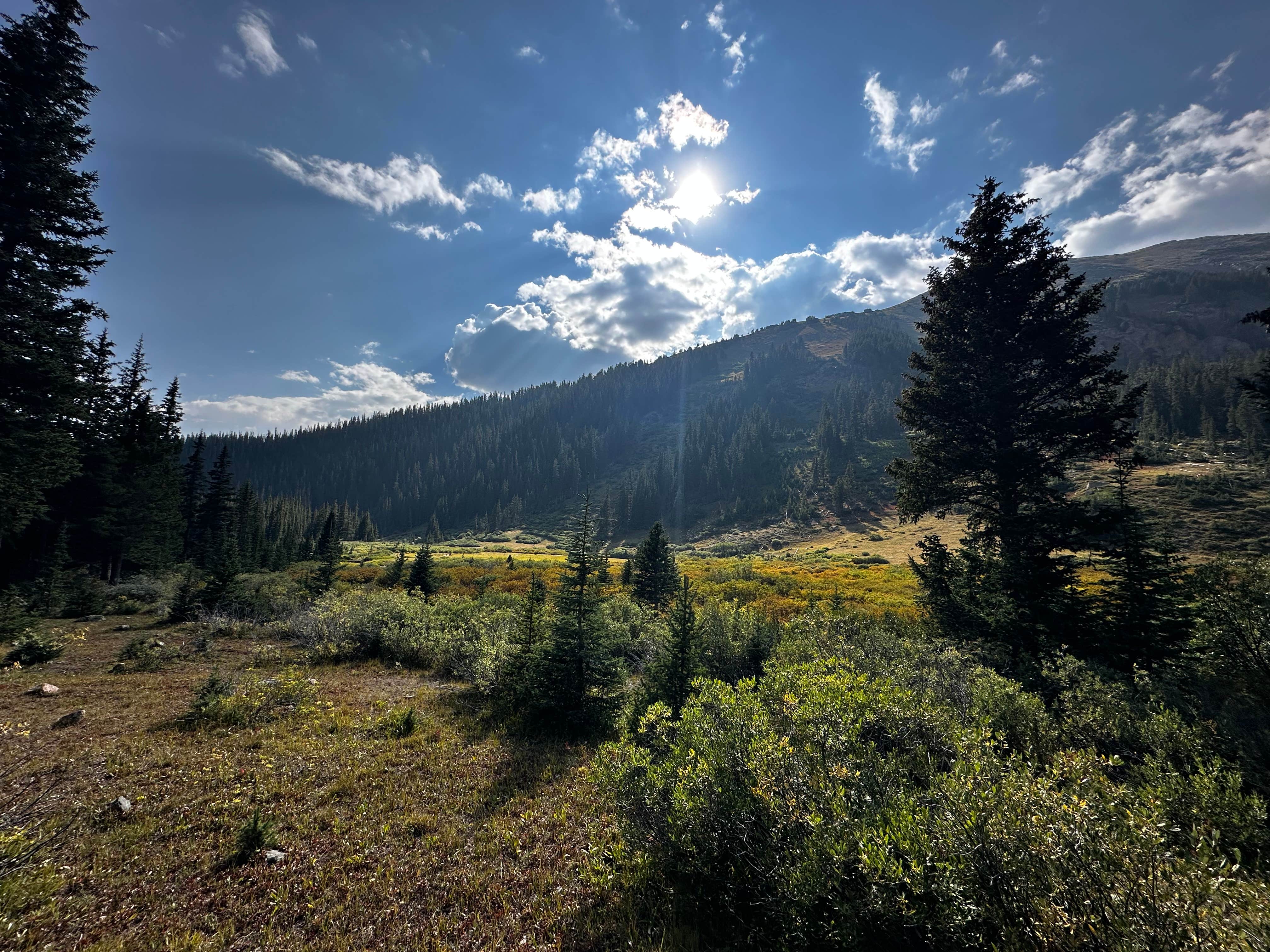 Camper-submitted photo at Kirby Gulch near Jefferson, CO