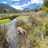 Review photo of Kirby Gulch by Greg , June 23, 2025